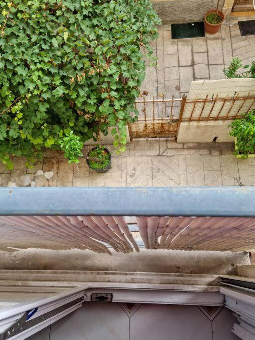 Appartement 2 Pieces ニース エクステリア 写真