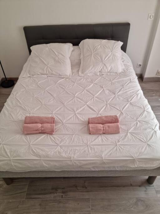 Appartement 2 Pieces ニース エクステリア 写真